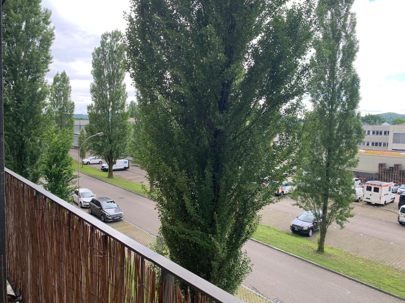 Rheinfelden Homestay Екстер'єр фото
